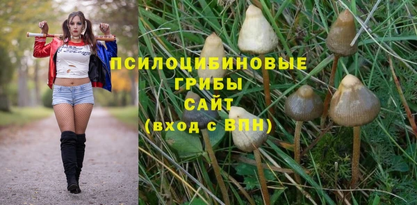 метадон Алексеевка